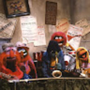 Meet your Posher, Timothy